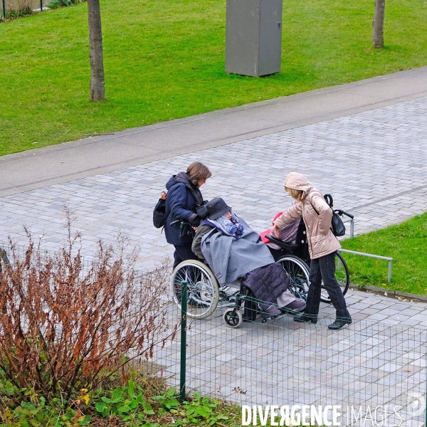 Hiver au parc
