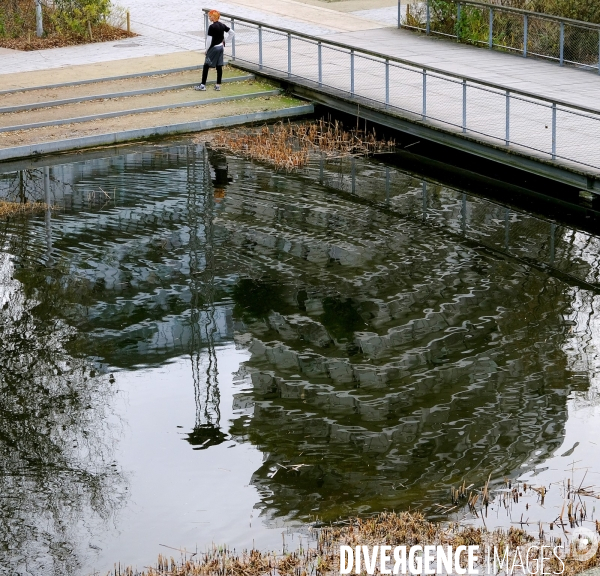 Hiver au parc