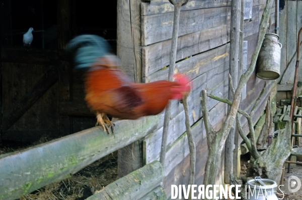 Un séjour dans le Perche