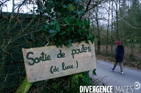 Un séjour dans le Perche