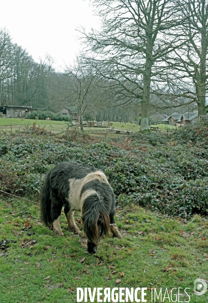 Un séjour dans le Perche