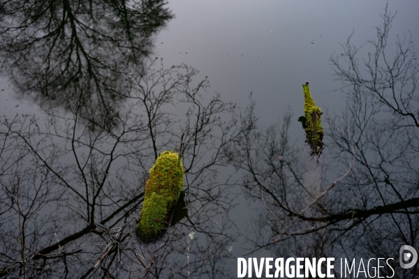 Le Morvan l hiver