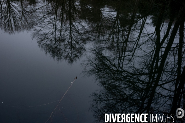 Le Morvan l hiver