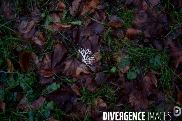 Le Morvan l hiver