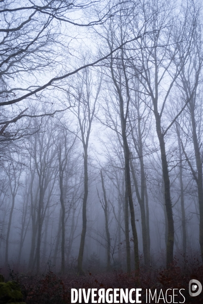 Le Morvan l hiver