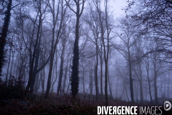 Le Morvan l hiver