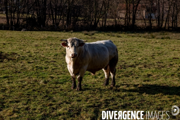 Le Morvan l hiver
