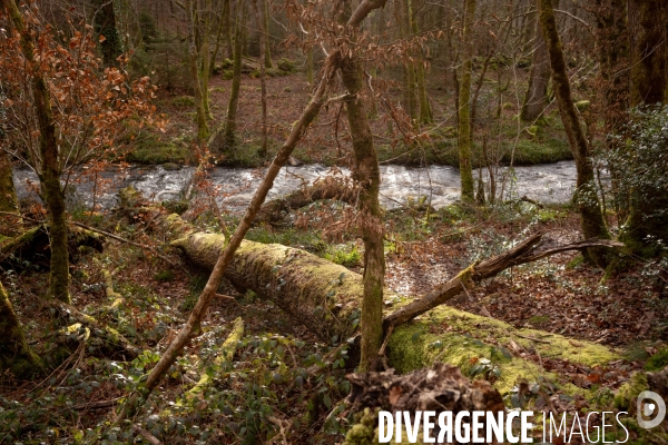 Le Morvan l hiver
