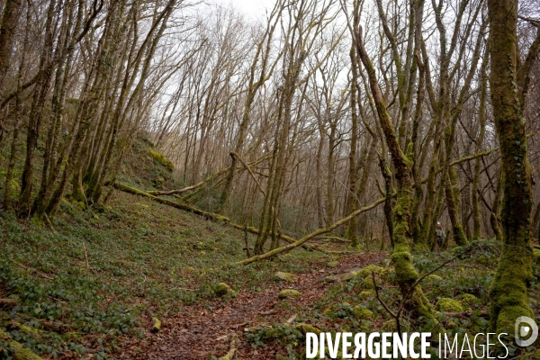 Le Morvan l hiver