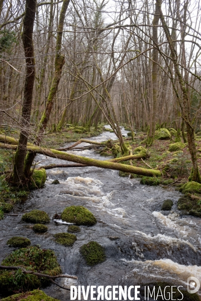 Le Morvan l hiver