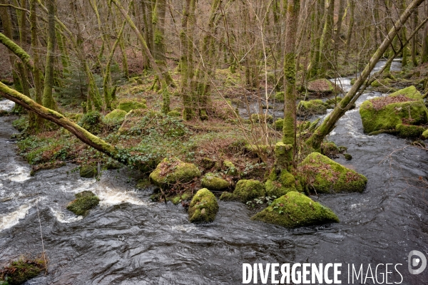 Le Morvan l hiver