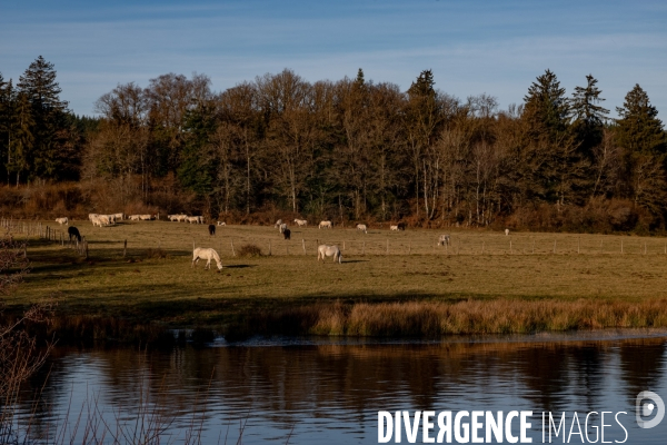 Le Morvan l hiver