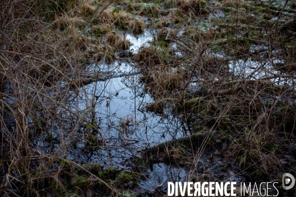 Le Morvan l hiver