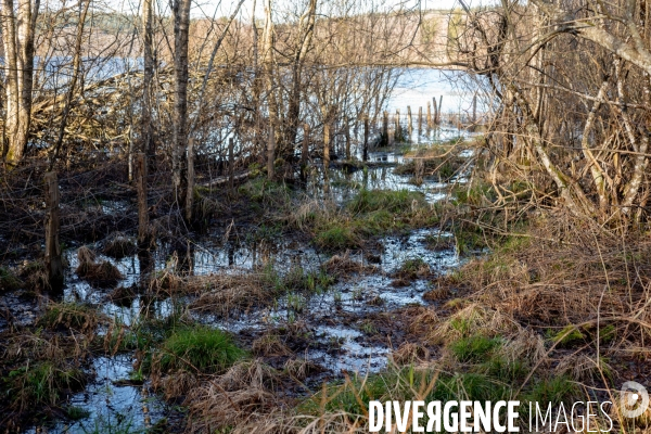 Le Morvan l hiver