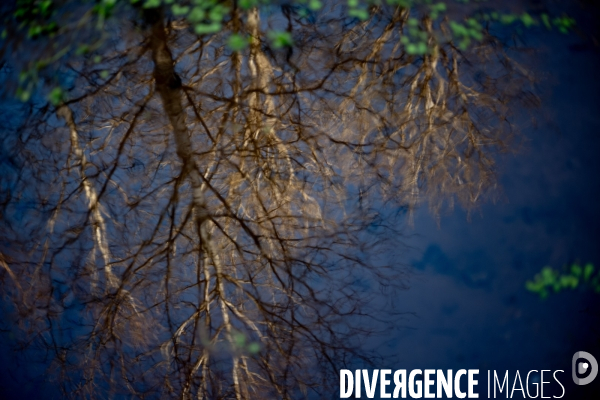 Le Morvan l hiver