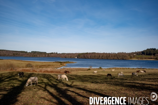 Le Morvan l hiver