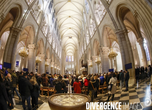 Notre dame de paris