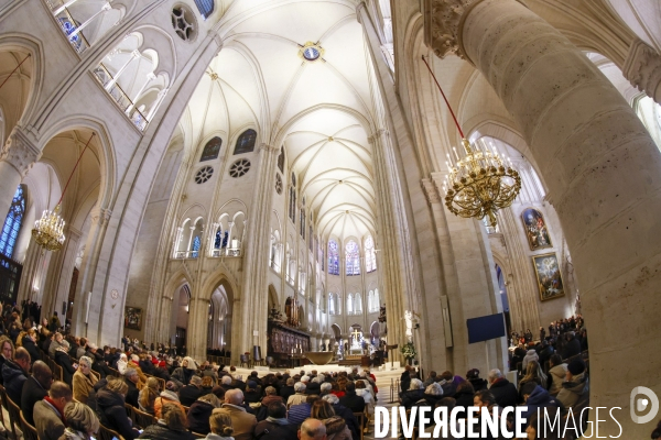 Notre dame de paris