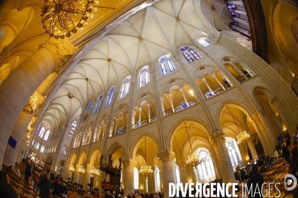 Notre dame de paris