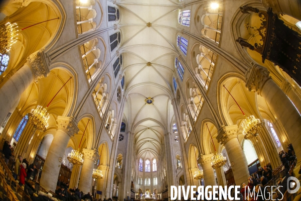 Notre dame de paris