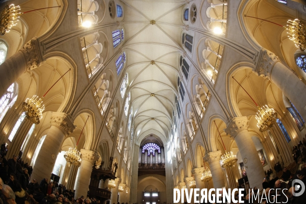 Notre dame de paris