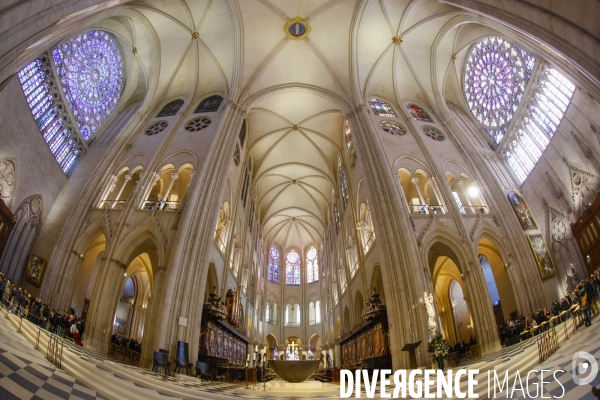 Notre dame de paris