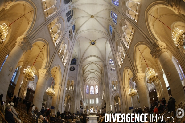 Notre dame de paris