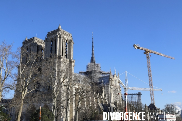 Notre dame de paris