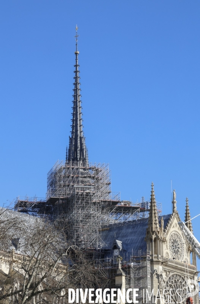 Notre dame de paris