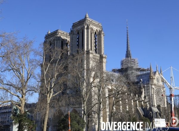 Notre dame de paris