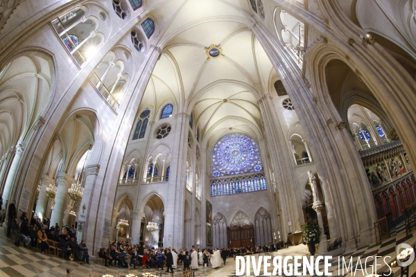 Notre dame de paris