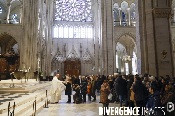 Notre dame de paris