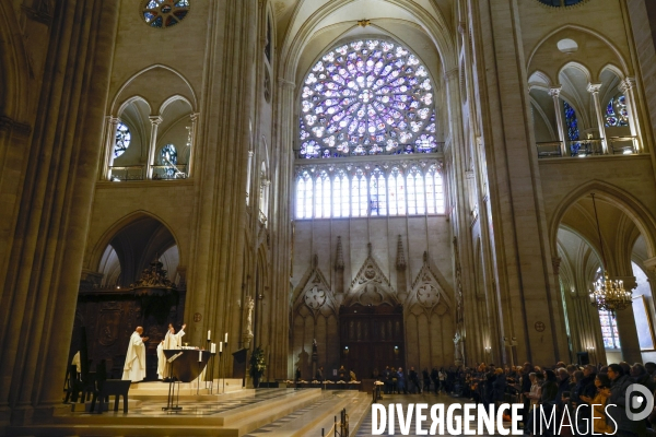 Notre dame de paris