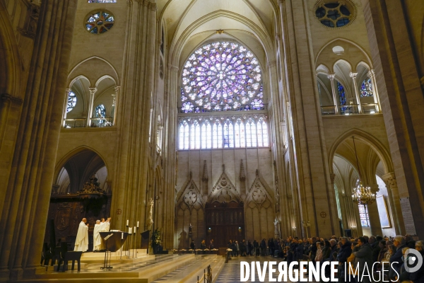 Notre dame de paris