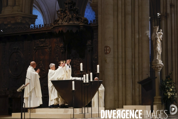 Notre dame de paris