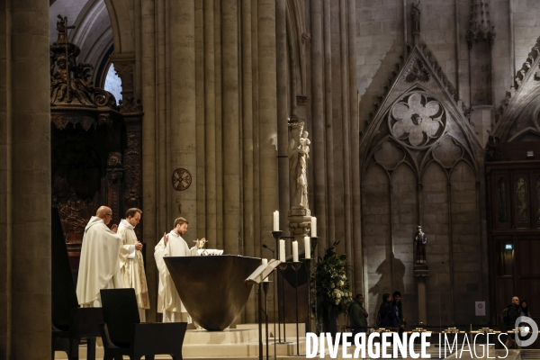 Notre dame de paris