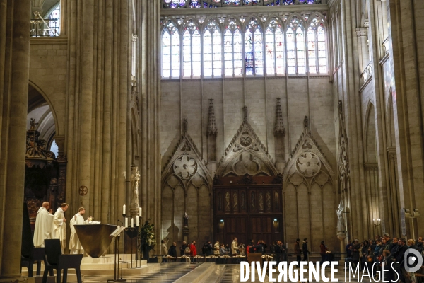 Notre dame de paris