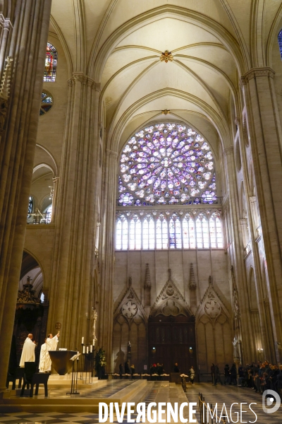 Notre dame de paris