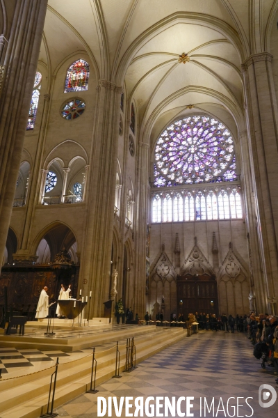 Notre dame de paris