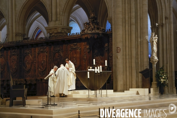 Notre dame de paris