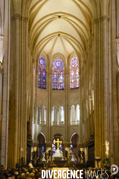 Notre dame de paris