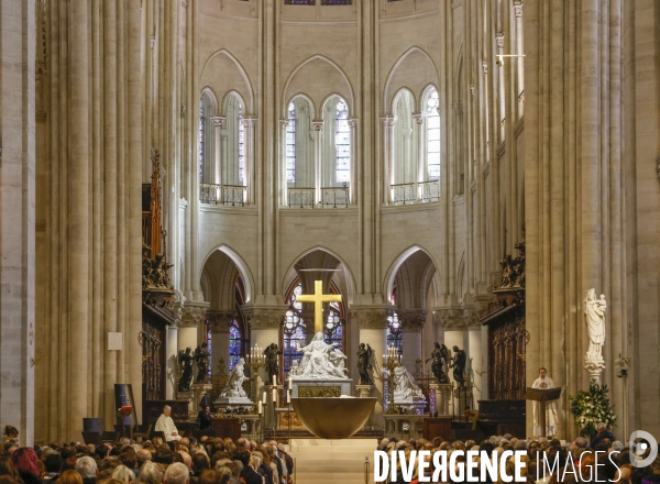 Notre dame de paris