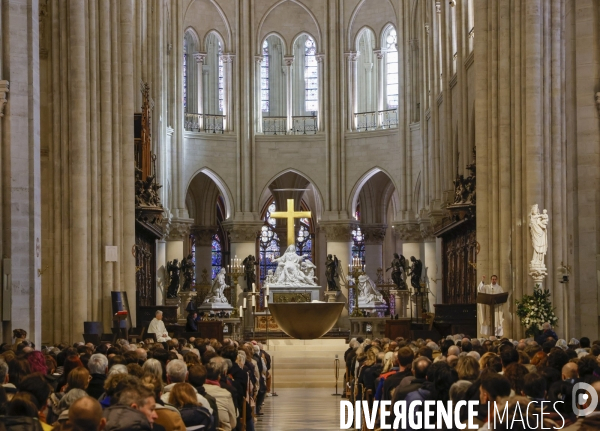 Notre dame de paris