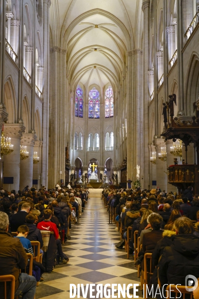 Notre dame de paris