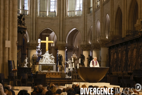Notre dame de paris