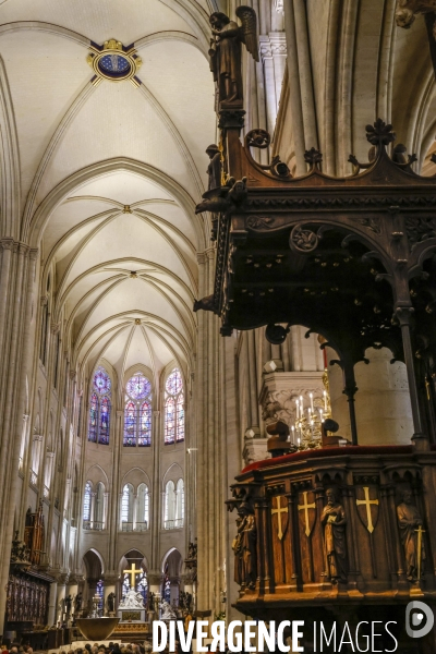 Notre dame de paris