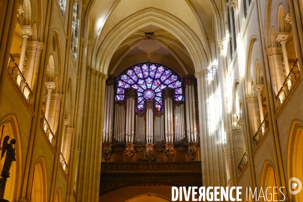 Notre dame de paris