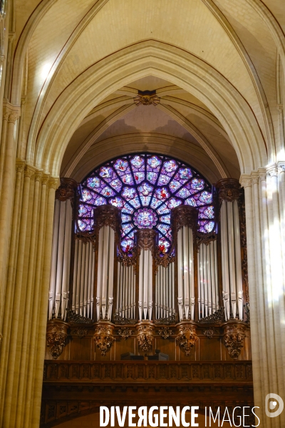 Notre dame de paris
