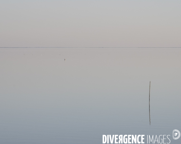 Paysages de Camargue