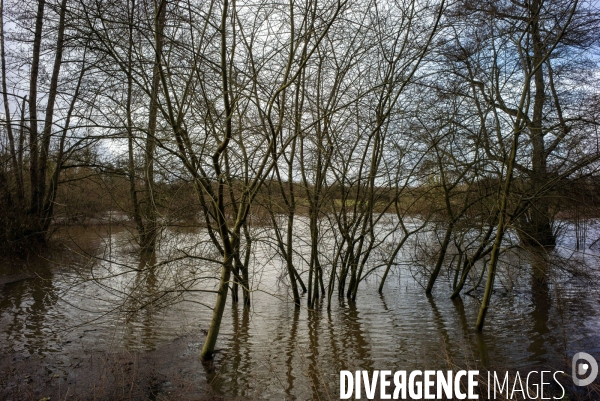 Tempête Floriane